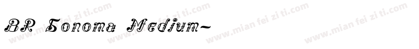 BR Sonoma Medium字体转换